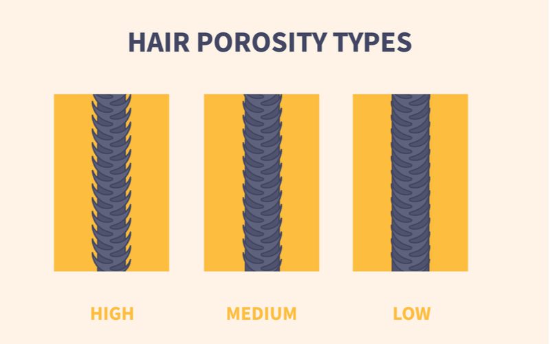 Chart for a hair porosity quiz with low, medium, and high types