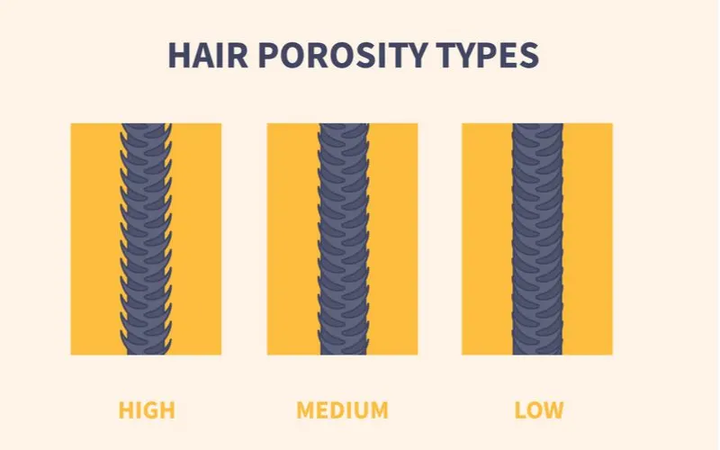 Chart for a hair porosity quiz with low, medium, and high types