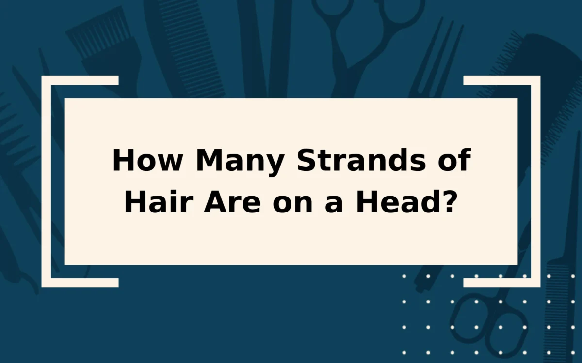 How Many Strands of Hair Are on a Head? | It’s a Lot!