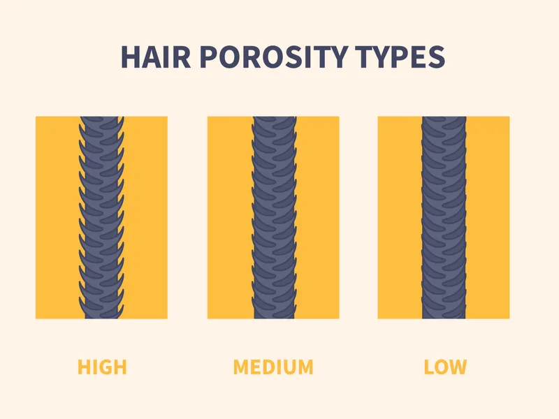 Hair porosity chart for a piece on whether keratin is good for low porosity hair or not