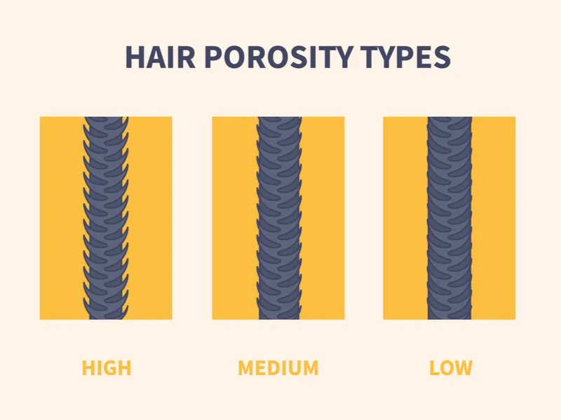 Image of hair porosity helping answer, "Is Coconut Oil Good for Low Porosity Hair?"