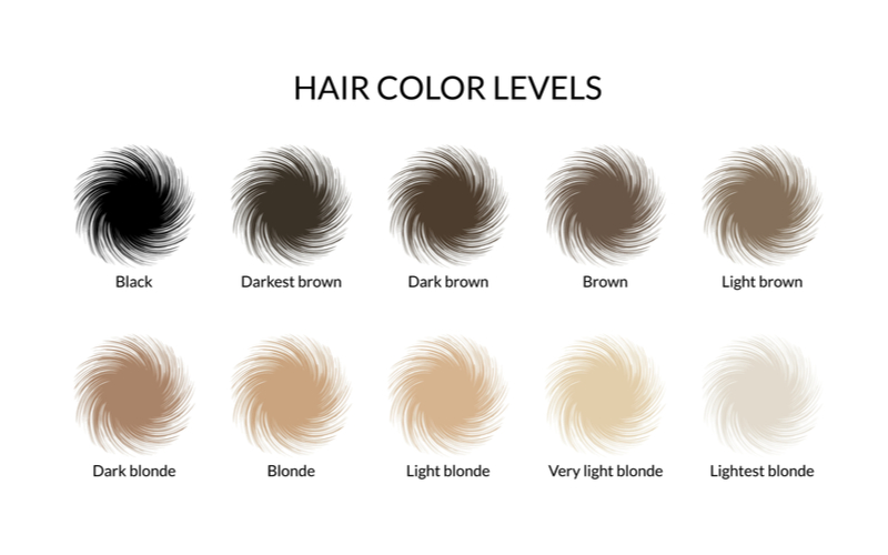 Hair depth chart showing the 10 levels of hair bleaching