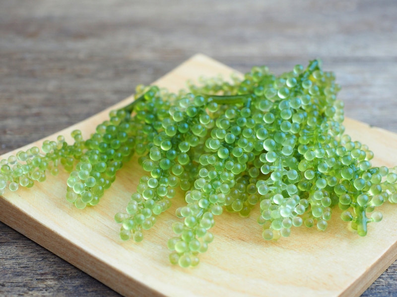 Umi caviar on a plate helping answer, "what is green caviar in shampoo?"
