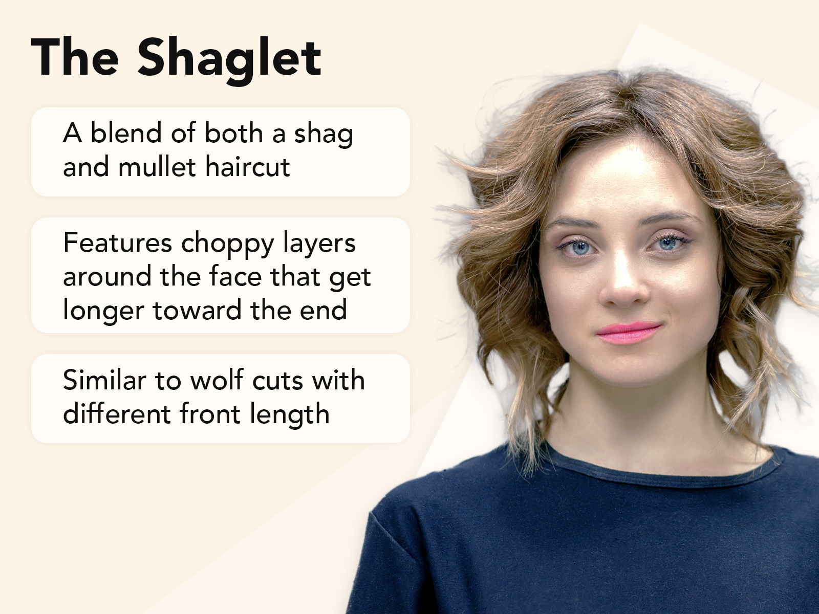 What Is a Shaglet explainer image on a tan background