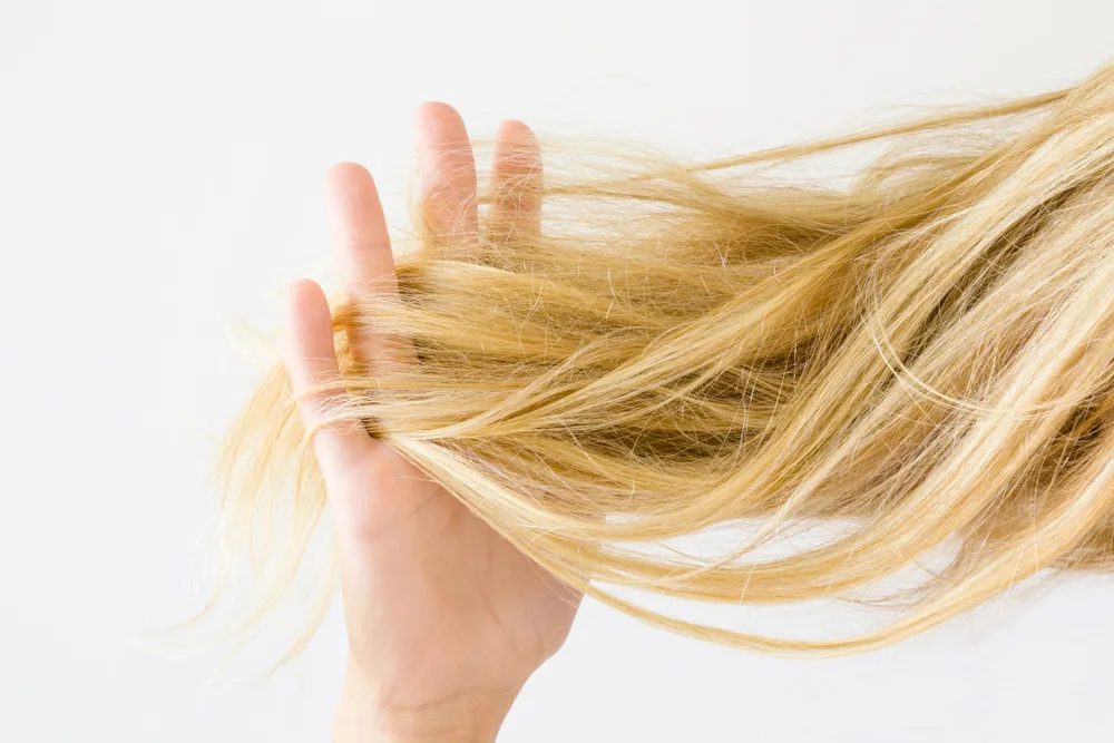 For a post titled How Long to Leave Toner on Brassy Hair, a woman with blonde hair and damaged cuticles pulls her hair with her fingers