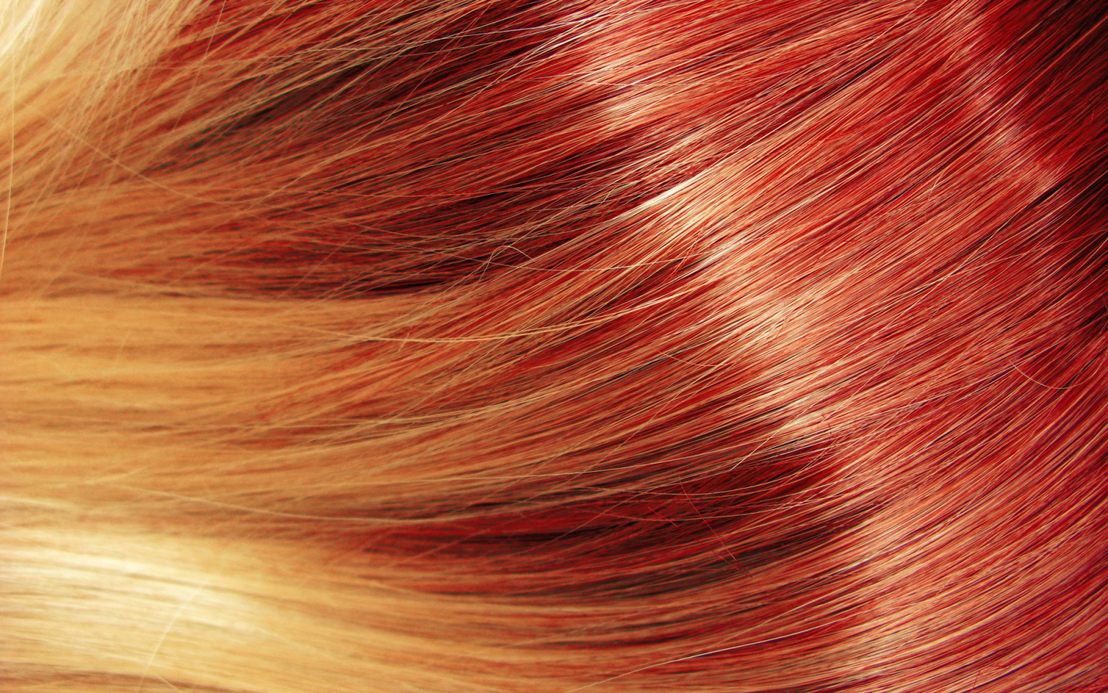 Bright Red and Blonde Hair | 2022 Color Guide