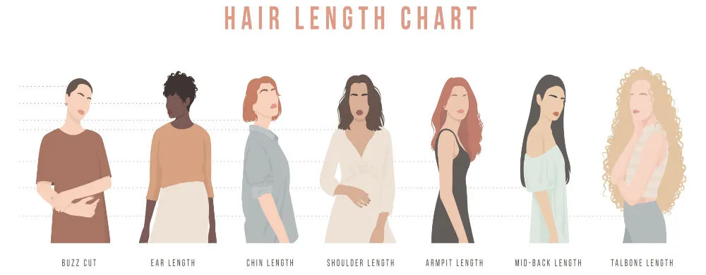 A hair length chart pictured with people in vector format next to one another
