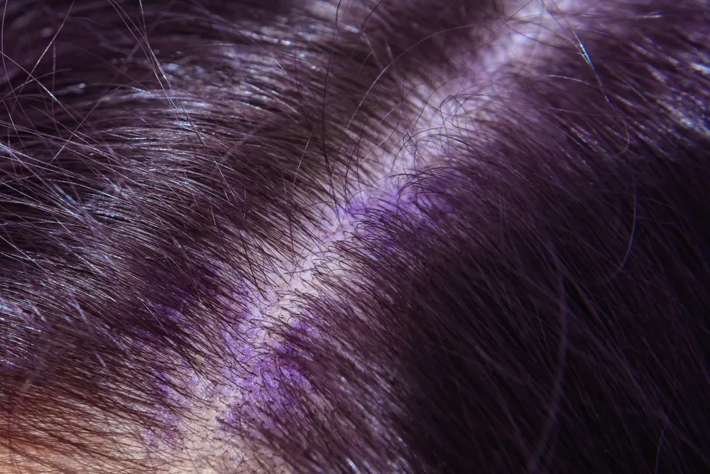 Close up of a woman with purple hair pictured for a piece on the best unnatural hair styles for cool skin tones