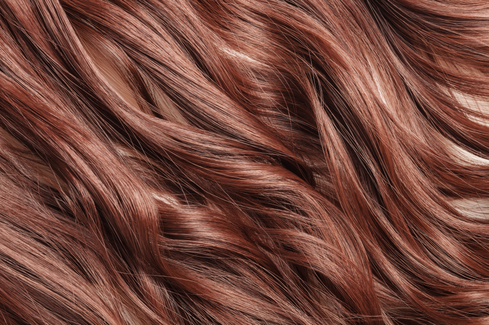 Chestnut Hair Color | Overview & Ideas for 2023