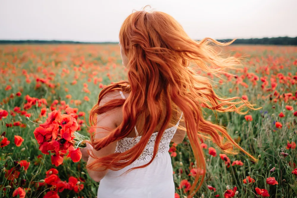 Vibrant Copper ginger hair color on a woman in a white dress in a field