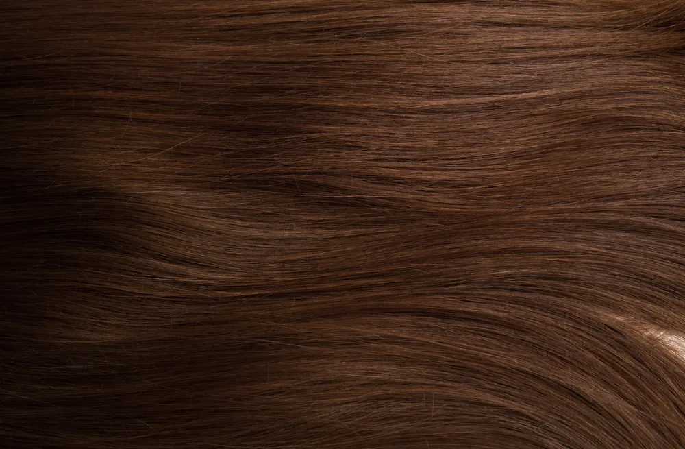 Chestnut hair color in a sweeping style on shiny hair