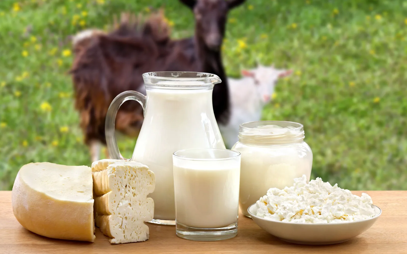 5 Goat Milk Benefits for Hair | Our . Take