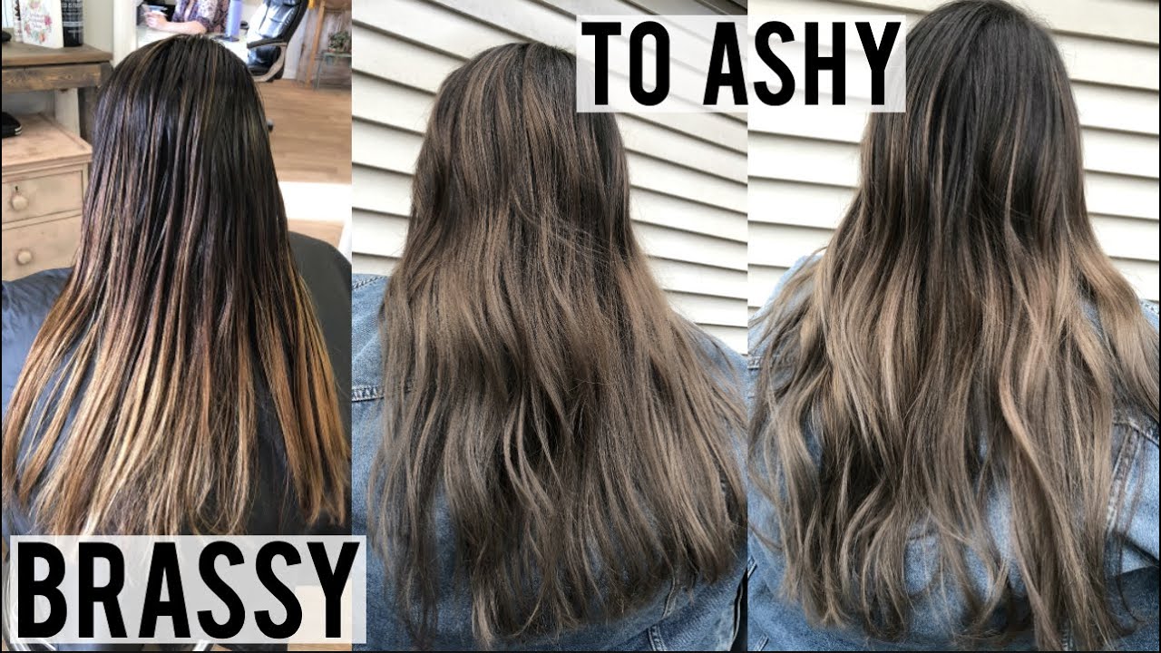 Billy ged Pas på Akademi How to Tone Brown Hair to Ash | 2023 Guide
