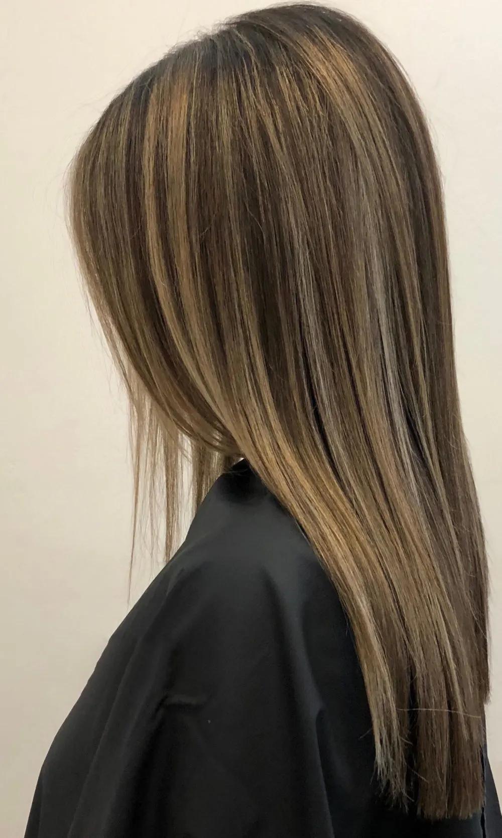 Chocolate Base With Light Beige Brown Highlights