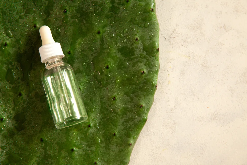 For a piece on cactus oil for hair growth, a vial of oil sitting on a cactus plant