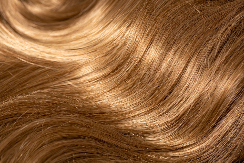 Butterscotch colored hair spread out in a layflat image