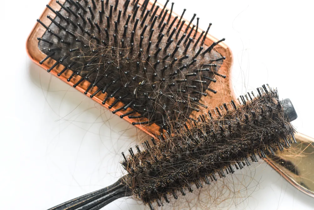 Photo of two brushes stacked on top of one another for a guide to getting lint out of a hair brush