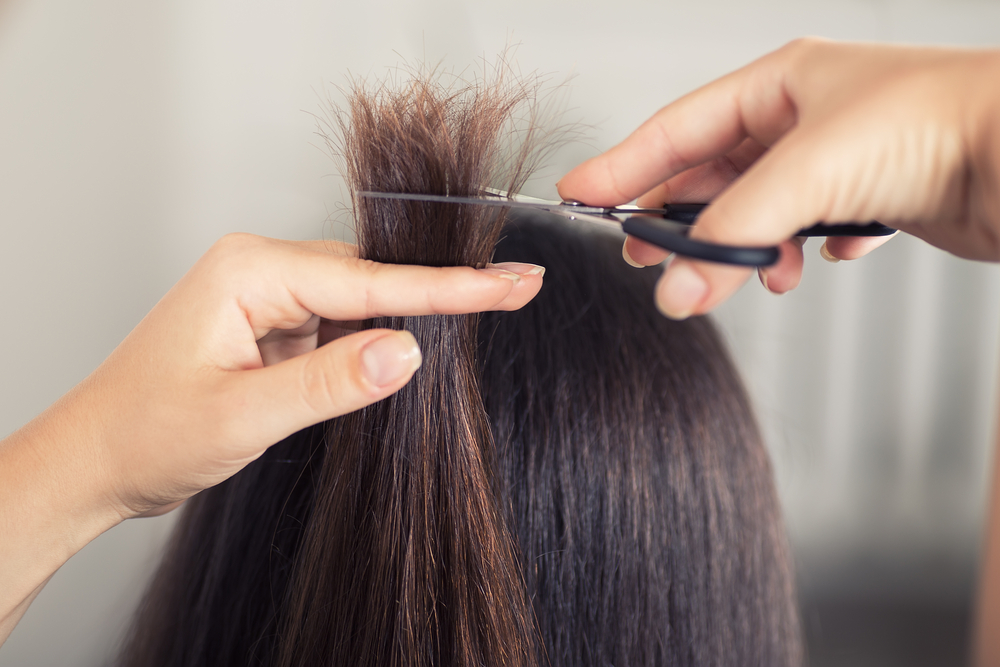 Do Split Ends Stop Hair Growth? | Nope! Here's Why