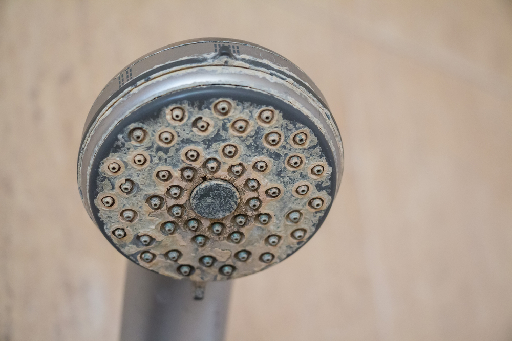 Up close image of hard water on a removable showerhead for a piece on is it bad to wet your hair every day