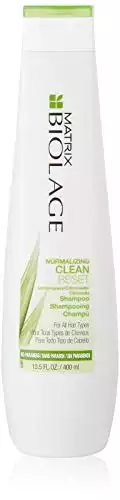 BIOLAGE Normalizing Clean Reset Shampoo