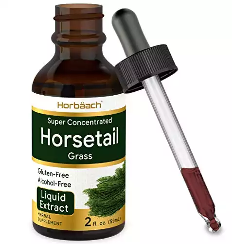 Horsetail Herb Liquid Extract | Alcohol Free