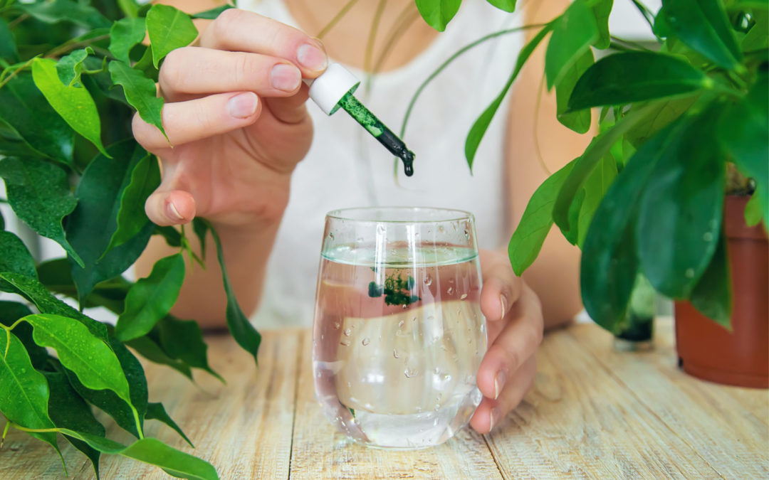 Chlorophyll Benefits for Hair An OverlyDetailed Guide