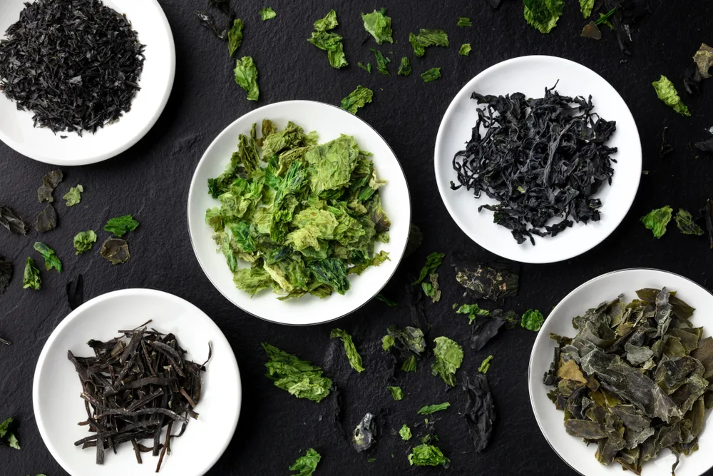 The various types of seaweed on a table in white bowls