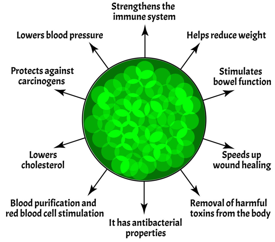 Chlorophyll Benefits for Hair An OverlyDetailed Guide