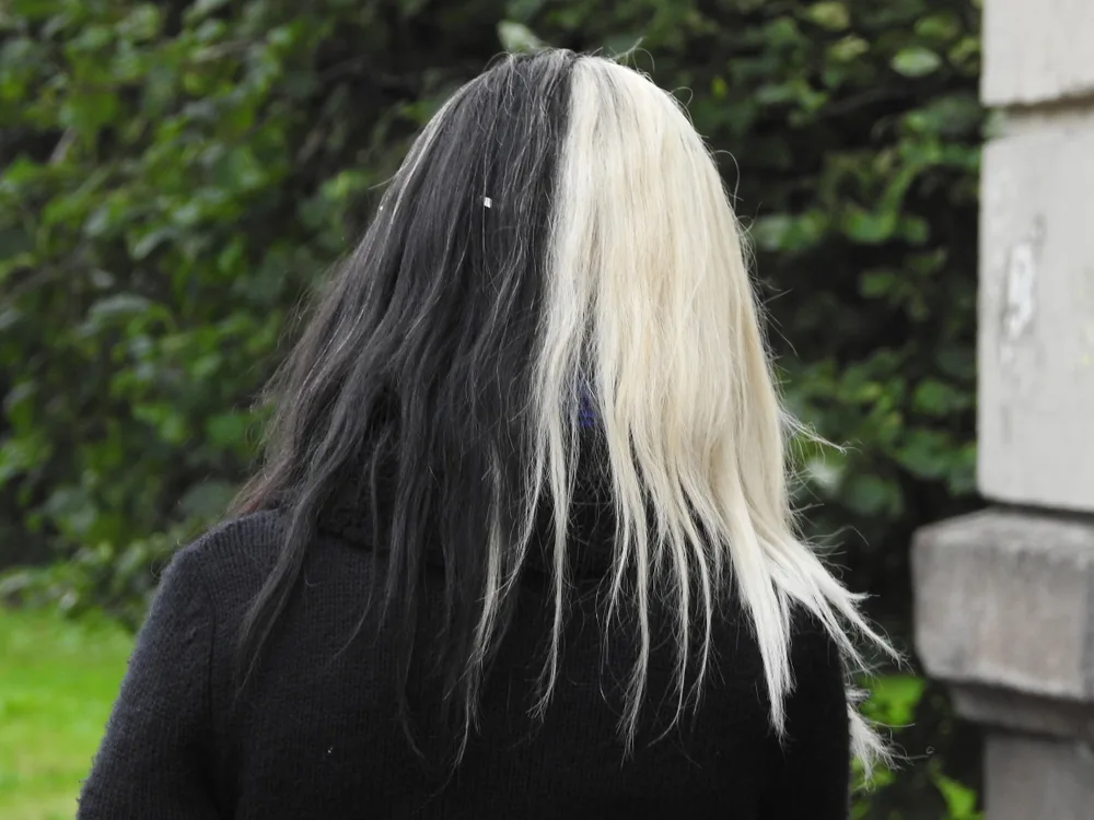 Black and White Split Dye hair color idea on a Russian woman