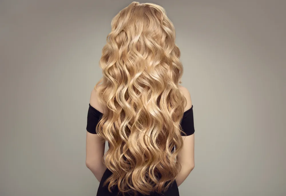 Back view of woman in black dress with very long wavy hair in one of the golden shades of blonde with a medium depth