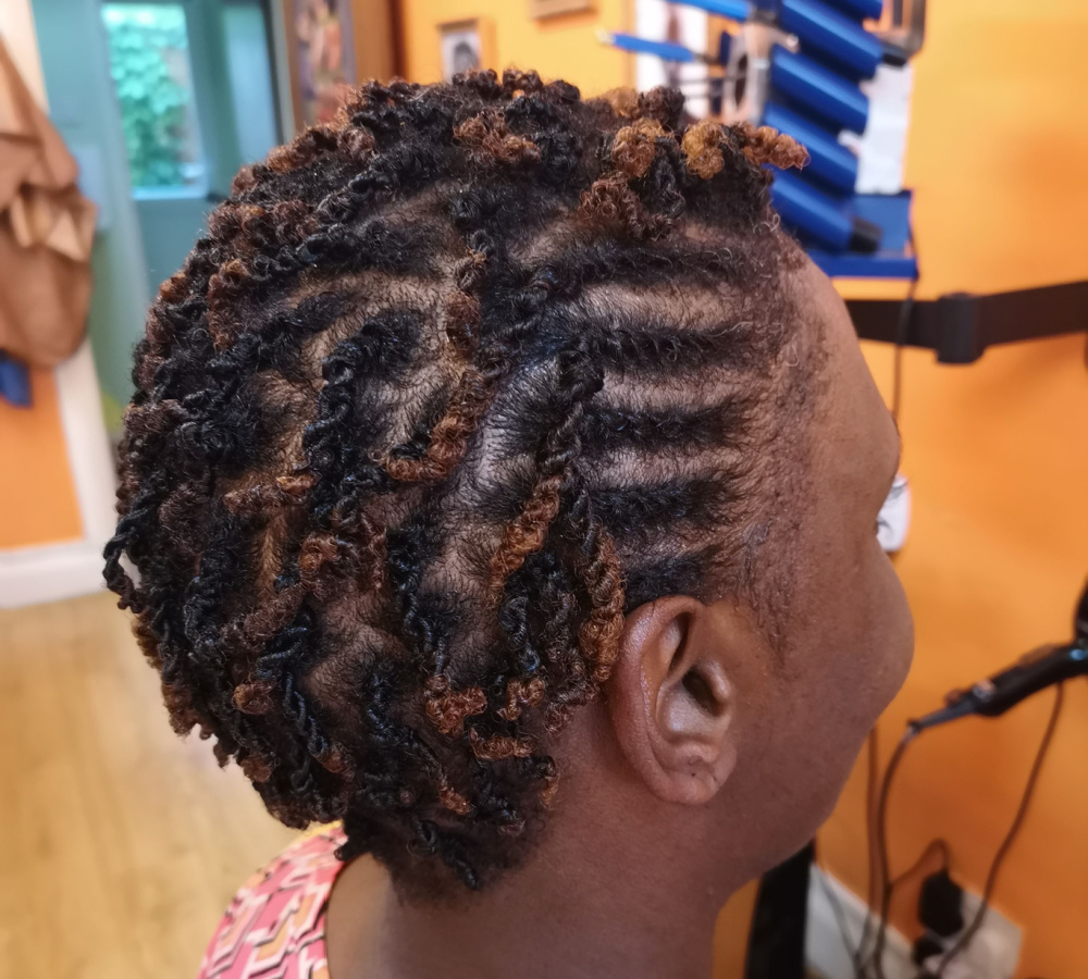 Black woman with kinky two strand twists hairstyle in short hair seen from the back side with caramel blonde highlights