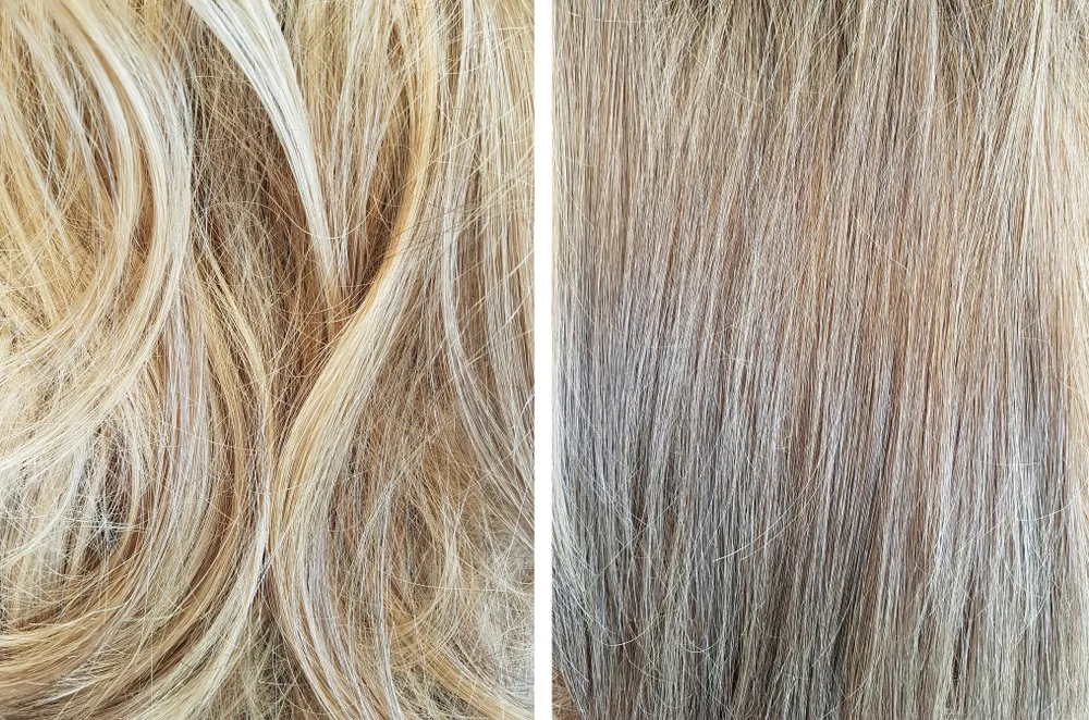 Close-up of tangled gold blonde hair with purple shampoo before and after toning with a cool toned blonde as a result