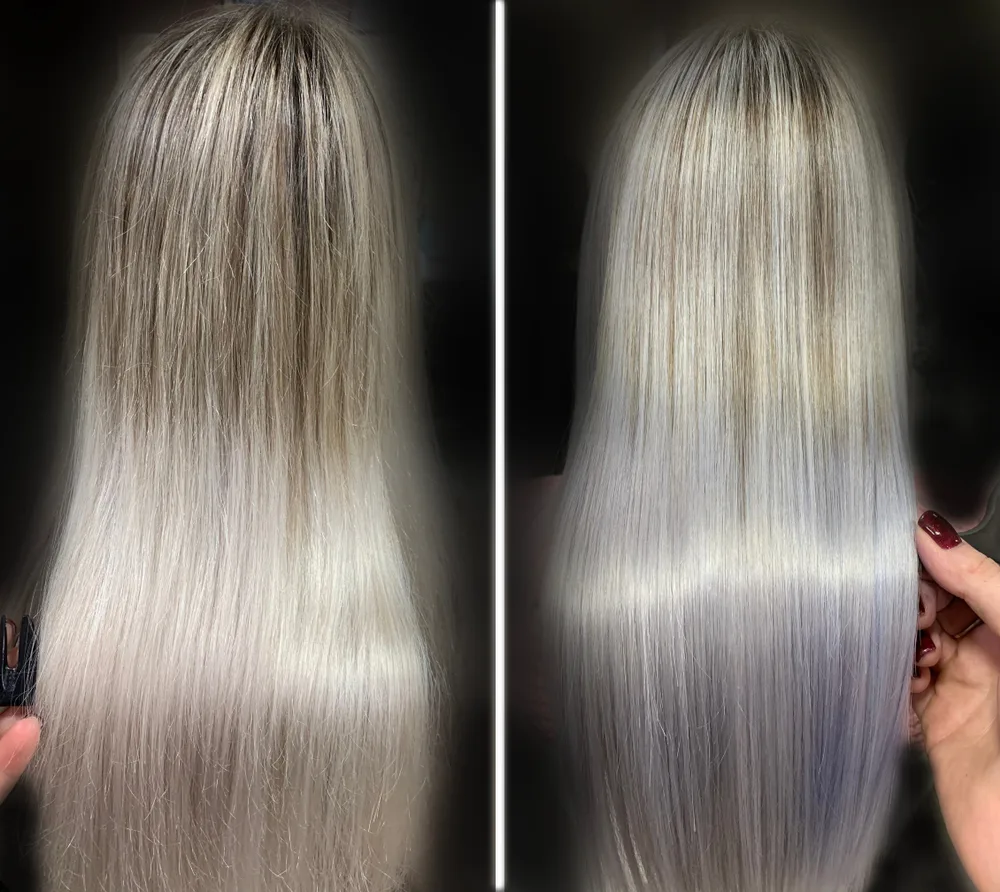 A cool blonde hair color seen from the back changes to a silvery platinum shade as an example of a bad purple shampoo before and after