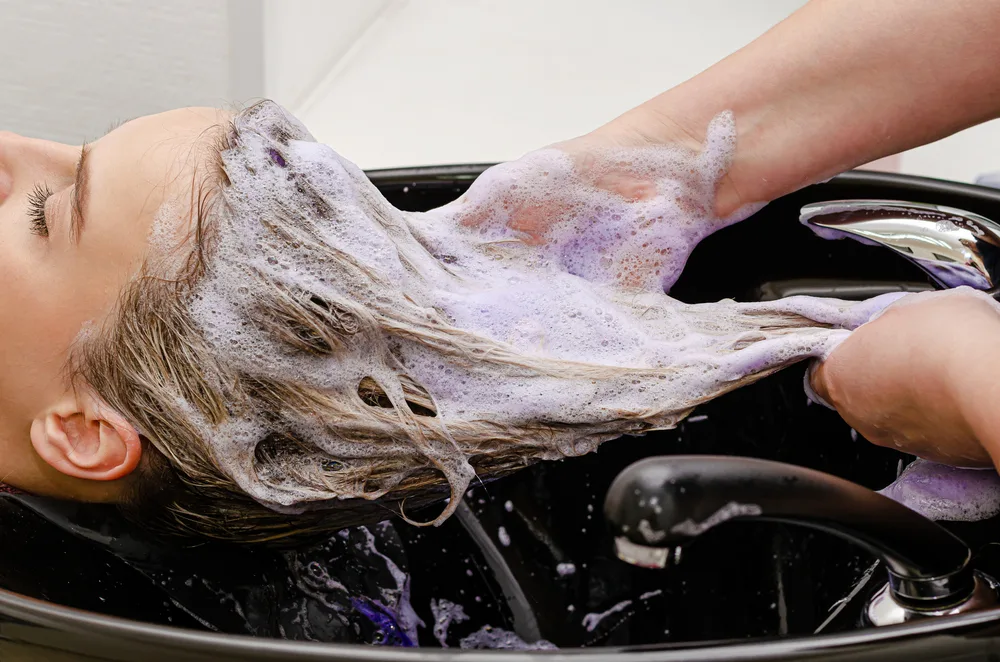 Woman lays back at a salon shampoo sink getting purple shampoo applied for a piece showing purple shampoo before and after pictures